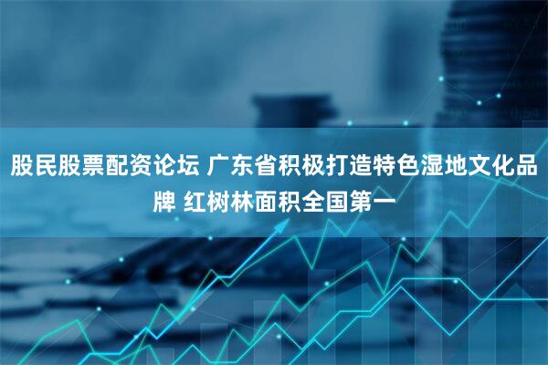 股民股票配资论坛 广东省积极打造特色湿地文化品牌 红树林面积全国第一